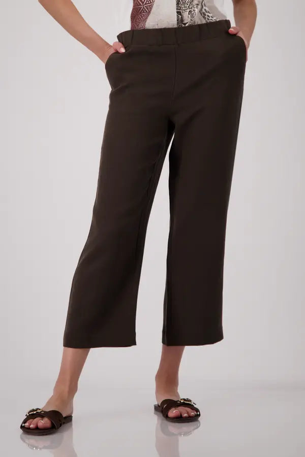 Chocolate Brown Trouser 673