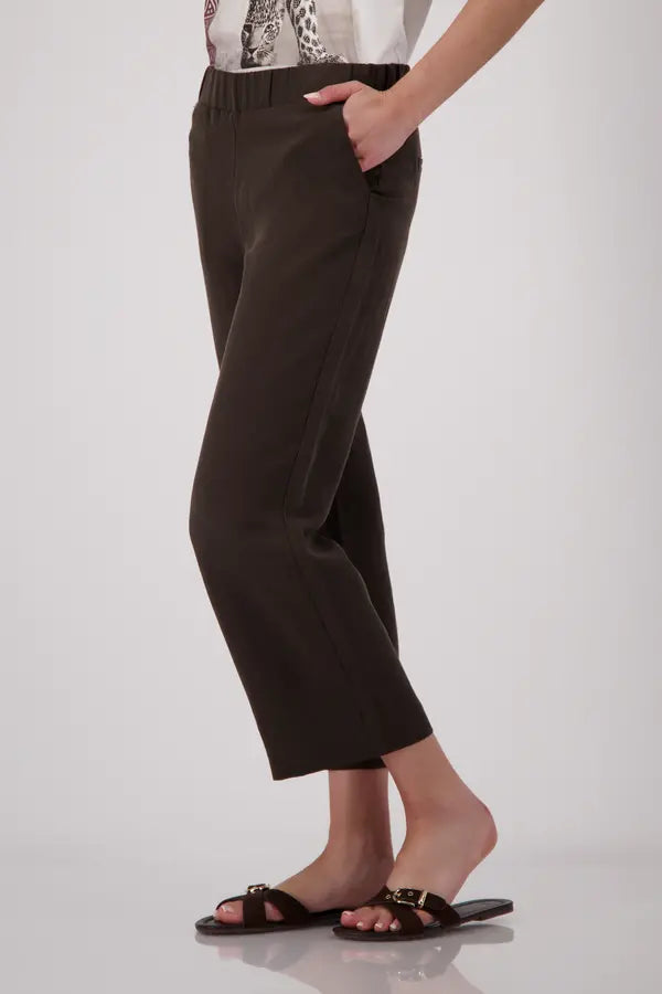 Chocolate Brown Trouser 673