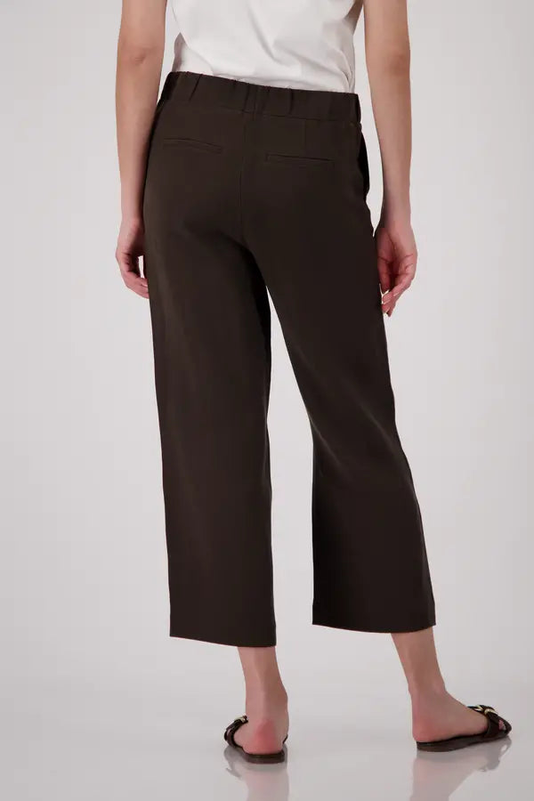 Chocolate Brown Trouser 673