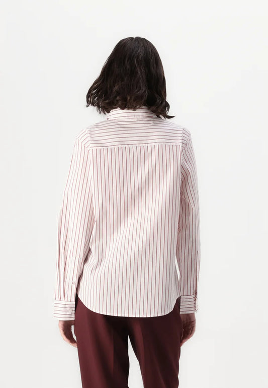 Classic shirting Strip pink red